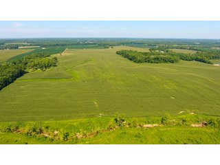 Property photo 19 - LAND AUCTION - 1,193+/- ACRES IN 14 TRACTS IN PIKE & GIBSON COUNTY, INDIANA